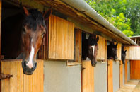 free Sraid Ruadh stable construction quotes